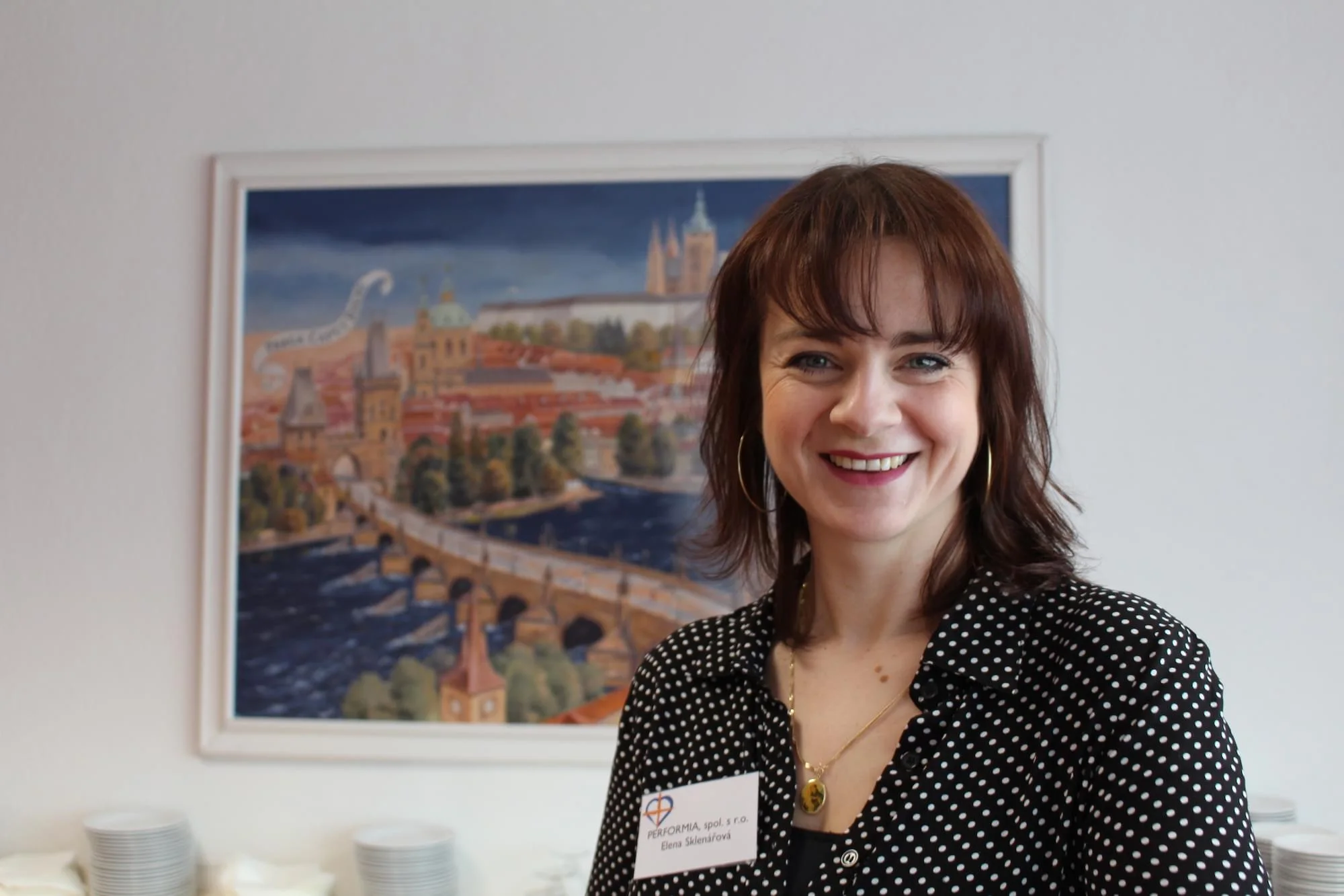 Elena Sklenářová, Performia